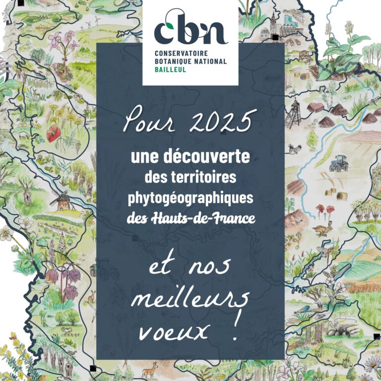 Voeux 2025-min