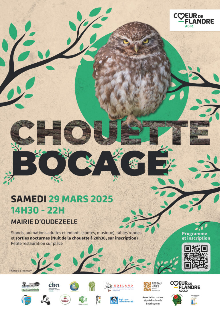 A3 chouette bocage(4)