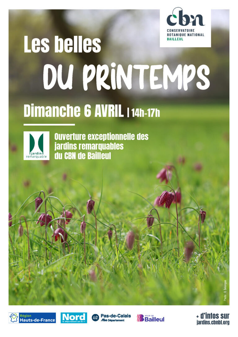 Affiche belles du printemps