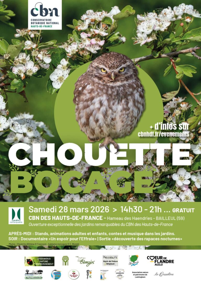 A3 chouette2026