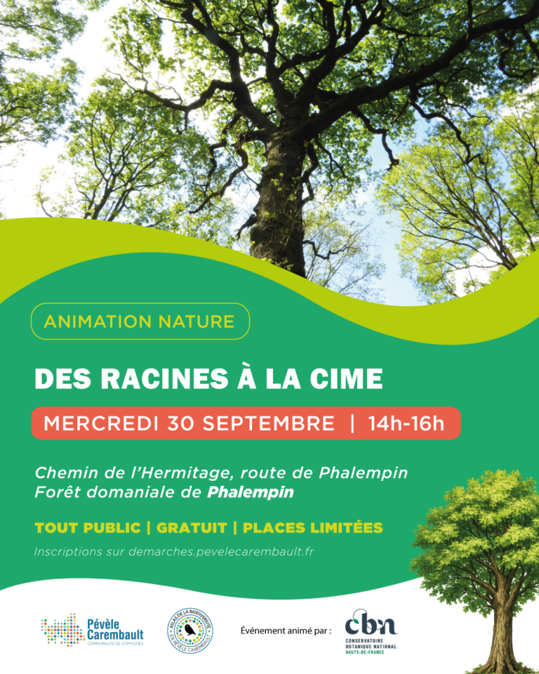 De la racine a la cime