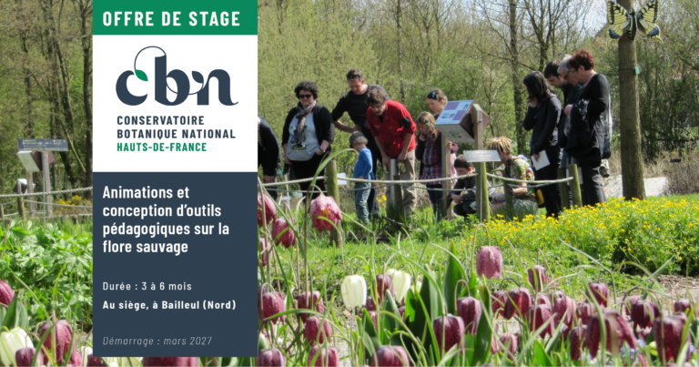 Visuel offre de stage - Animations et conception d’outils pédagogiques sur la flore sauvageécrans-ppt-16octobre_0